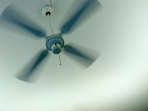 Ceiling Fan Installation In Ivanhoe