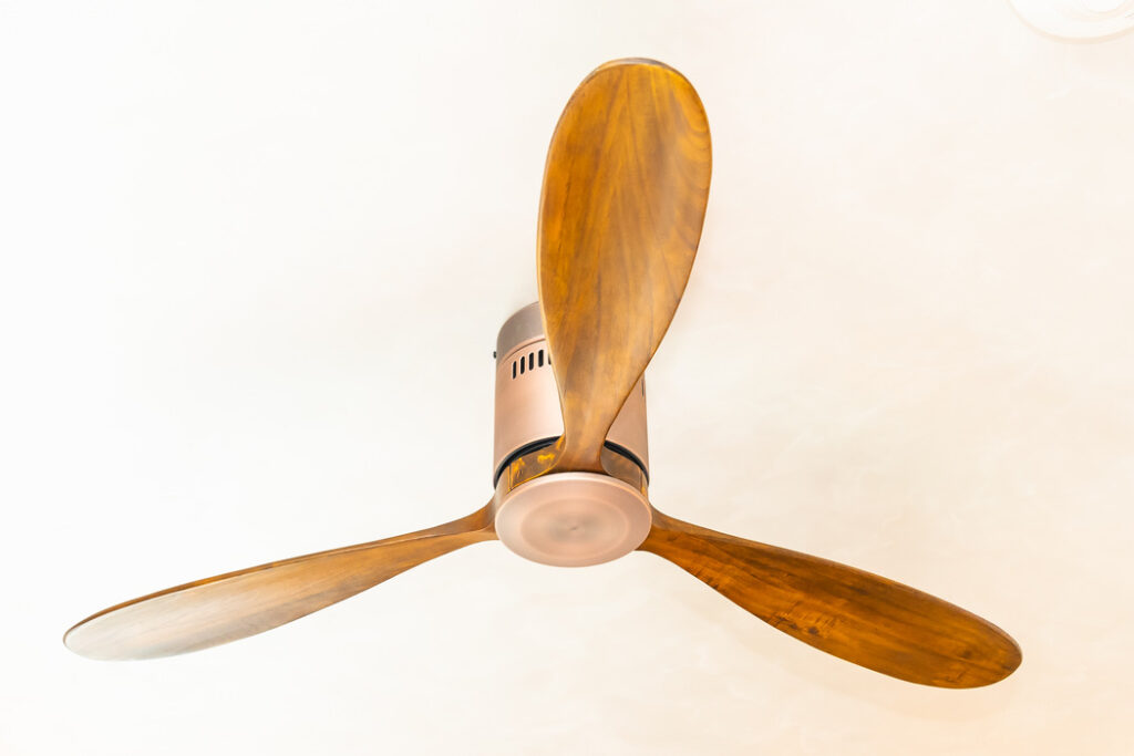Cranbourne West Ceiling Fan Repair