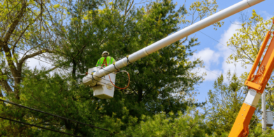 work-near-power-lines-the-local-electrician
