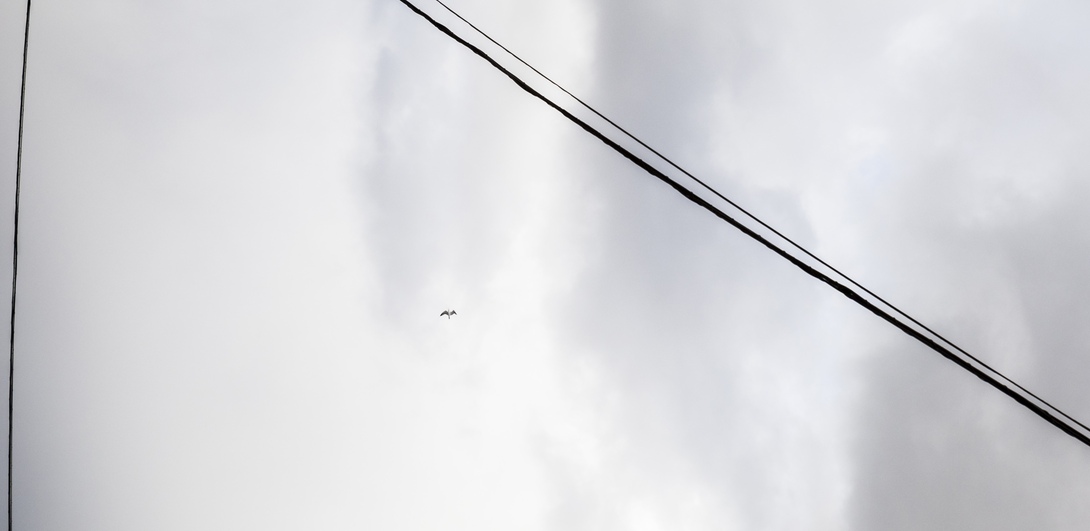 Level 2 Electrical Private Pole Installation Services in Vineyard