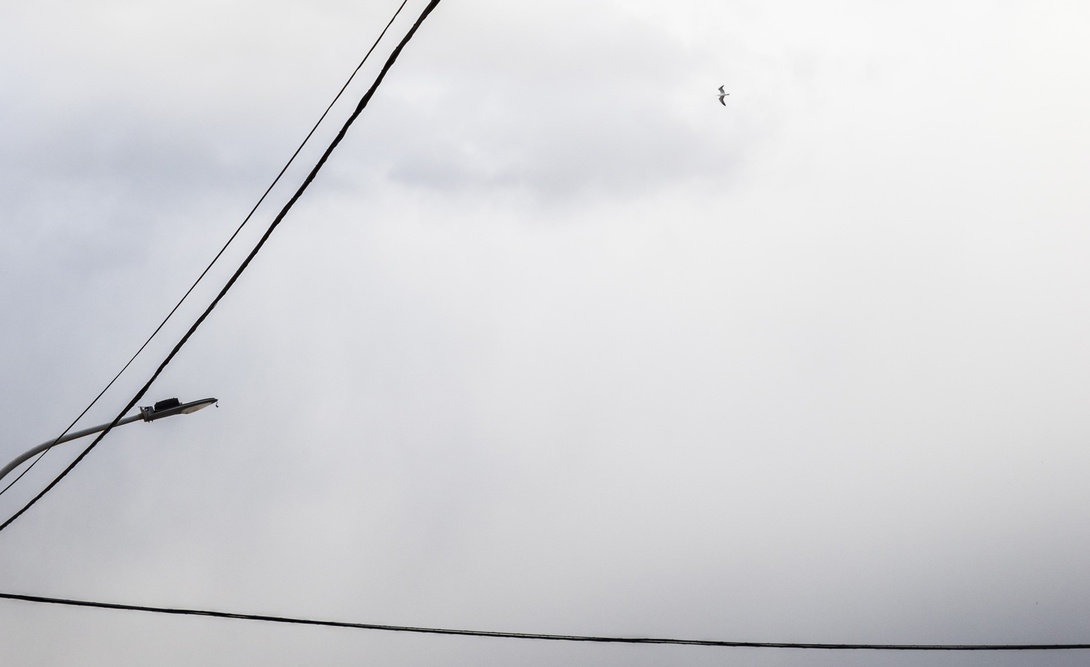 Level 2 Hebersham Overhead Lines Services