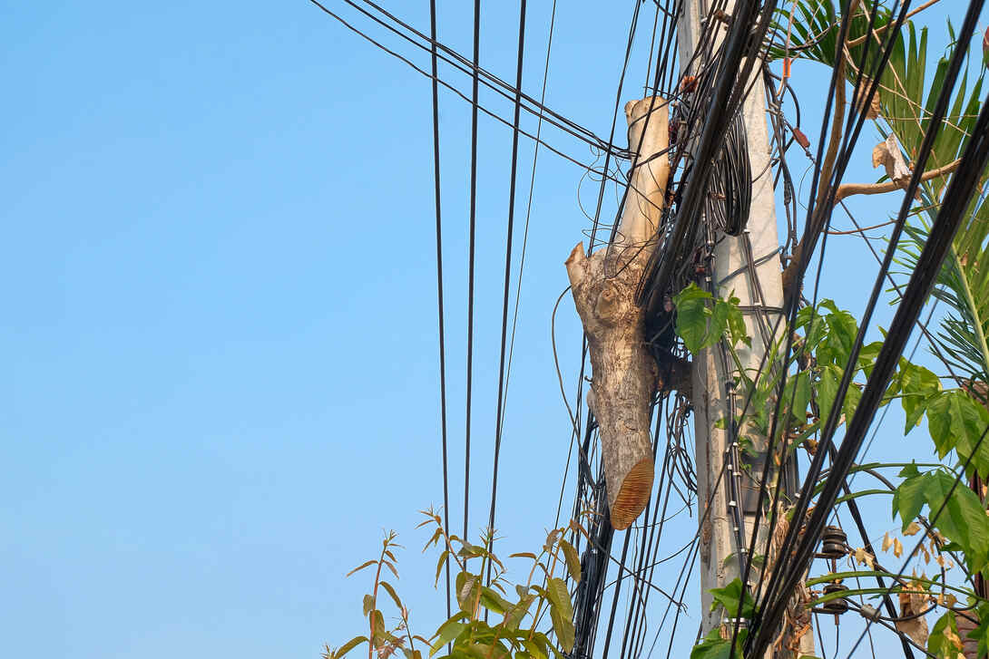 Level 2 Overhead Lines Clearing in Holroyd