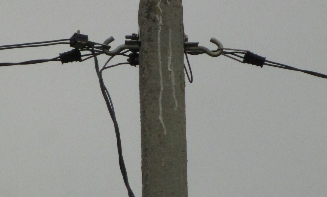 Private Pole Repair Level 2 Electrical Service in Arncliffe