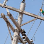temporary-builders-power-supply-pole-the-local-electrician temporary-builders-power-supply-pole-the-local-electrician