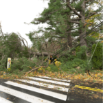 fallen-power-lines-the-local-electrician fallen-power-lines-the-local-electrician
